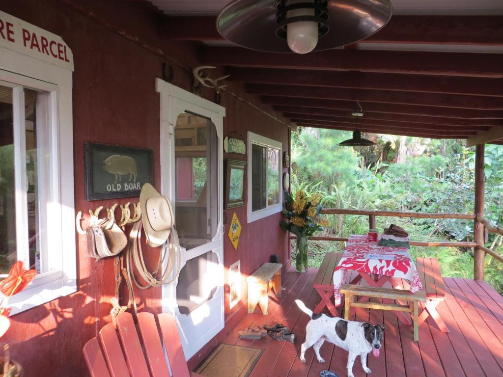 Carson'S Kaloko Mountain Cabin Kailua-Kona Cameră foto